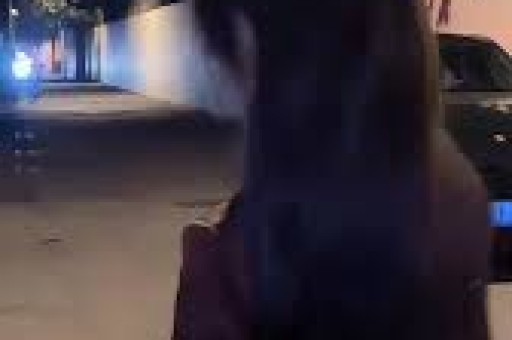 彻底塌房海外刘亦菲合照裁人炸翻越南全网真的是傲慢耍大牌？